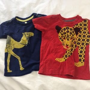 Tea collection bundle